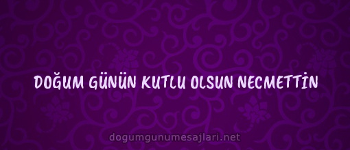 DOĞUM GÜNÜN KUTLU OLSUN NECMETTİN