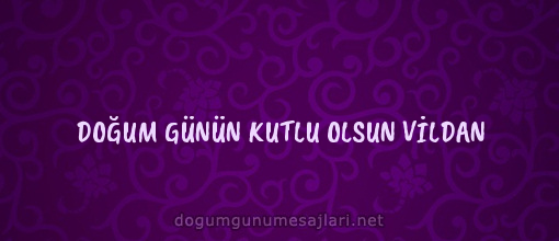 DOĞUM GÜNÜN KUTLU OLSUN VİLDAN