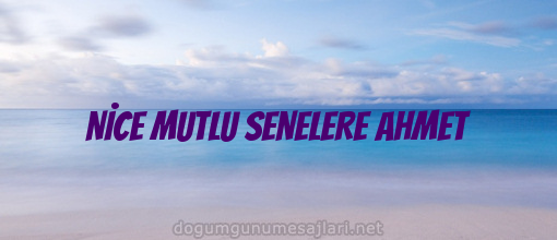 NİCE MUTLU SENELERE AHMET