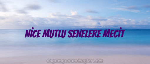 NİCE MUTLU SENELERE MECİT