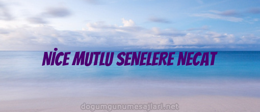 NİCE MUTLU SENELERE NECAT