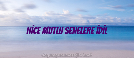 NİCE MUTLU SENELERE İDİL