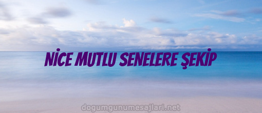 NİCE MUTLU SENELERE ŞEKİP