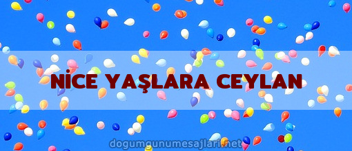 NİCE YAŞLARA CEYLAN