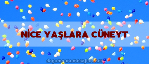 NİCE YAŞLARA CÜNEYT