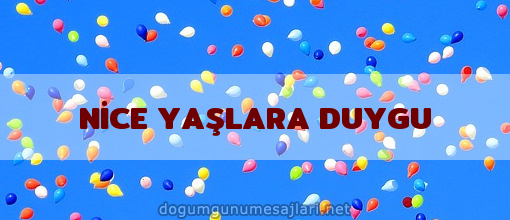 NİCE YAŞLARA DUYGU