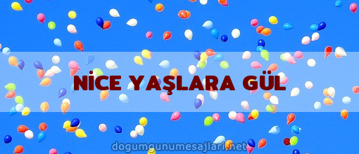 NİCE YAŞLARA GÜL