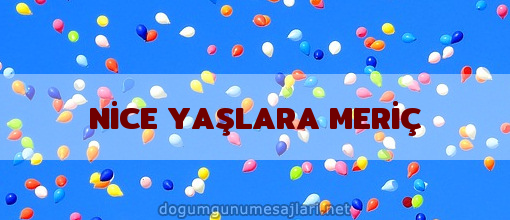 NİCE YAŞLARA MERİÇ