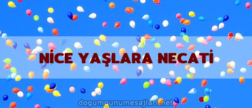 NİCE YAŞLARA NECATİ