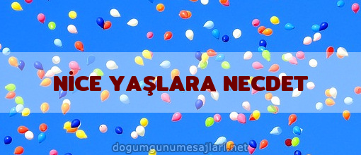 NİCE YAŞLARA NECDET