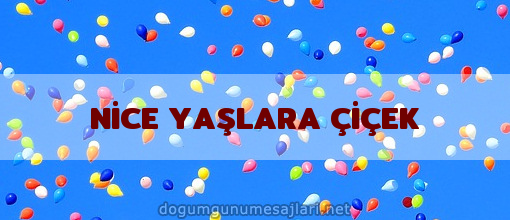 NİCE YAŞLARA ÇİÇEK