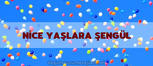 NİCE YAŞLARA ŞENGÜL